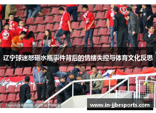 辽宁球迷怒砸水瓶事件背后的情绪失控与体育文化反思