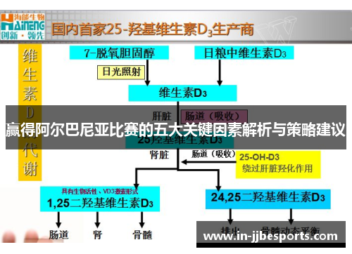 赢得阿尔巴尼亚比赛的五大关键因素解析与策略建议 赢得阿尔巴尼亚比赛的五大关键因素解析与策略建议