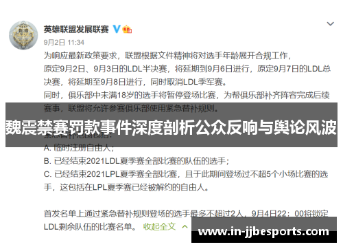 魏震禁赛罚款事件深度剖析公众反响与舆论风波